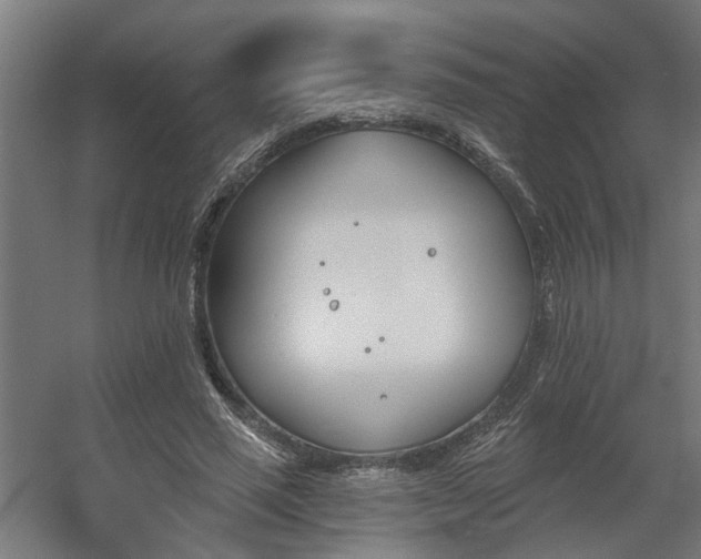 X0000060560637200511031244