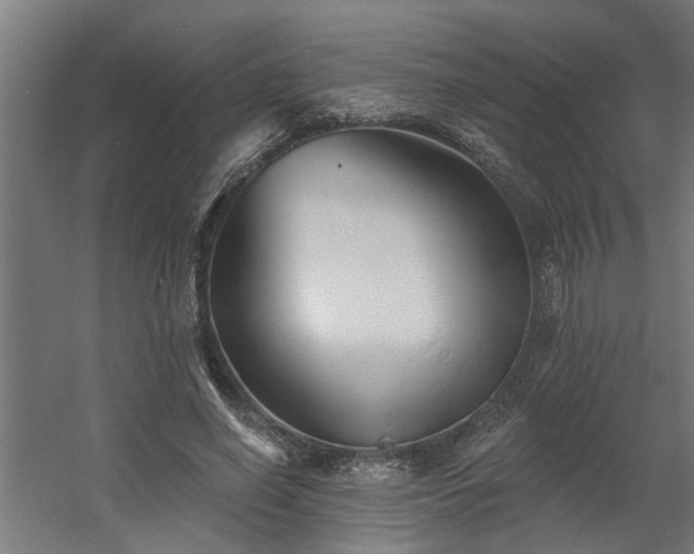 X0000060560638200511031244