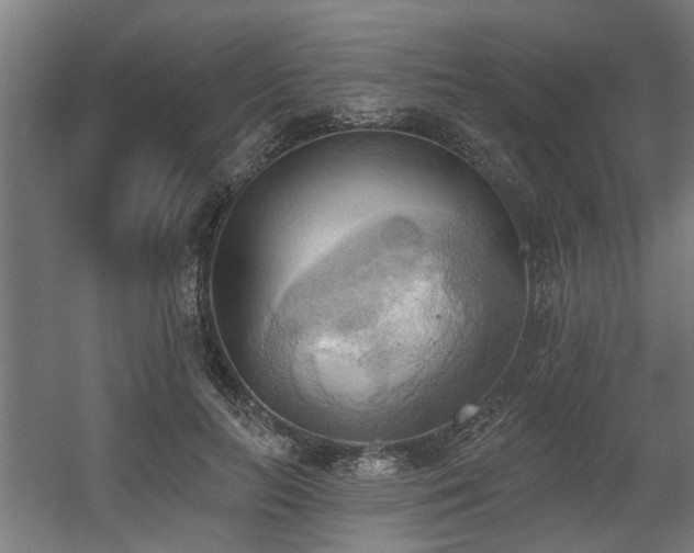 X0000060560647200511031244