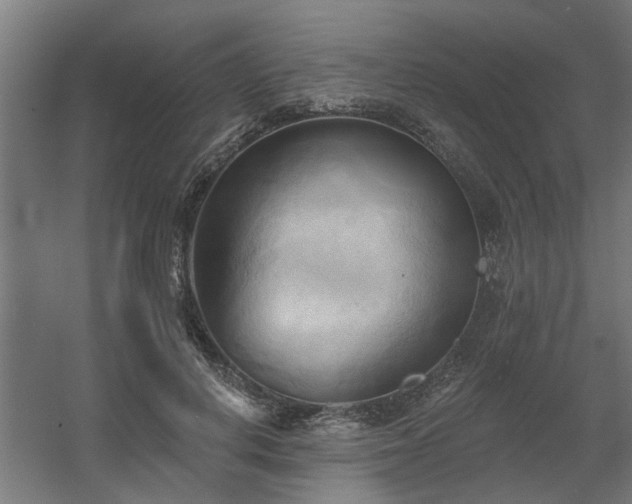 X0000060560648200511031244