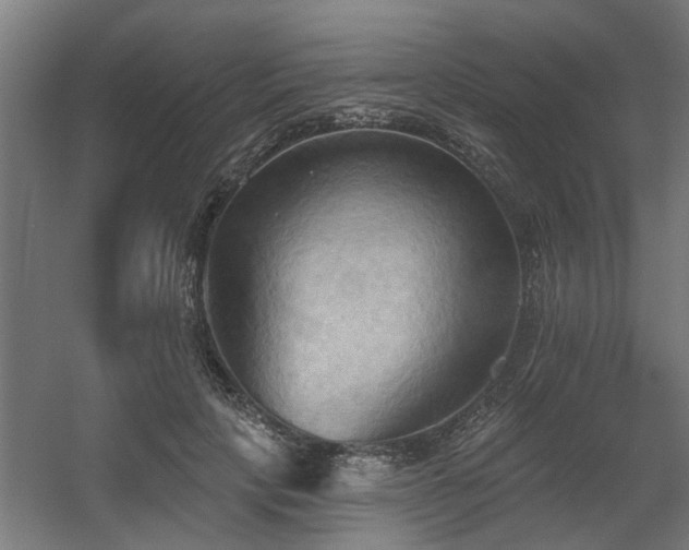 X0000060560649200511031244