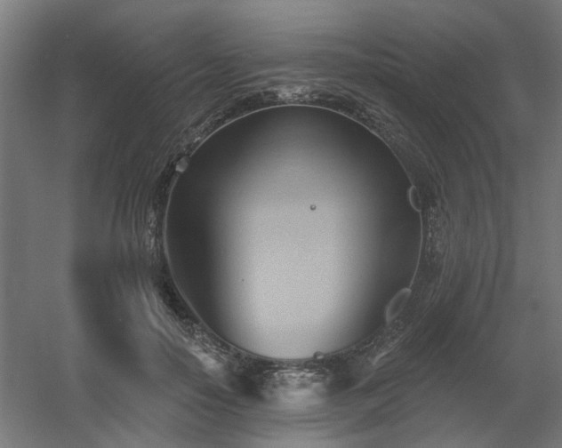 X0000060560650200511031244