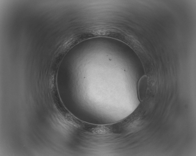 X0000060560652200511031244