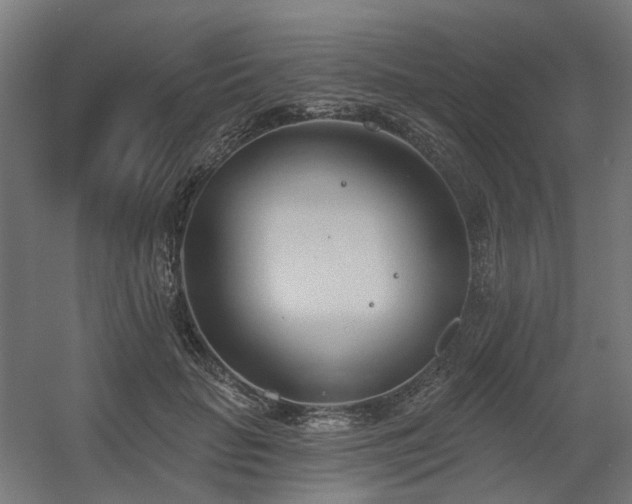 X0000060560653200511031244