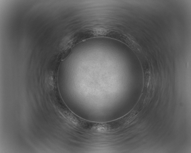 X0000060560655200511031244