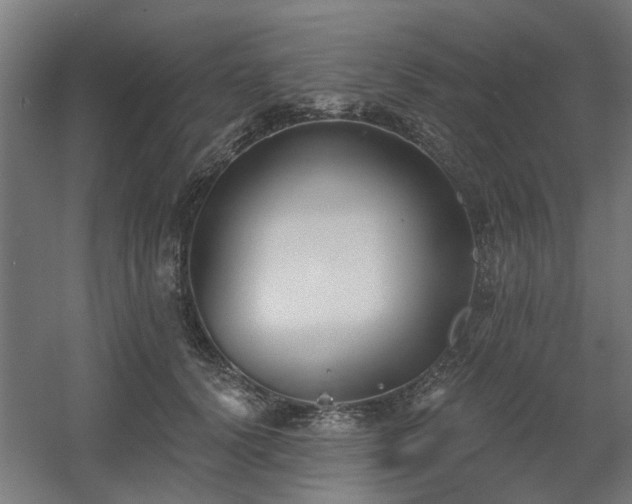 X0000060560656200511031244