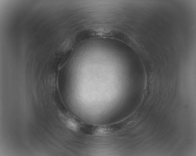 X0000060560657200511031244