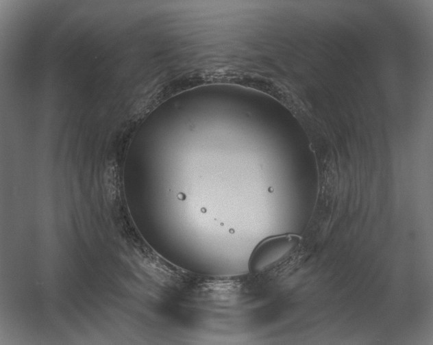 X0000060560659200511031244