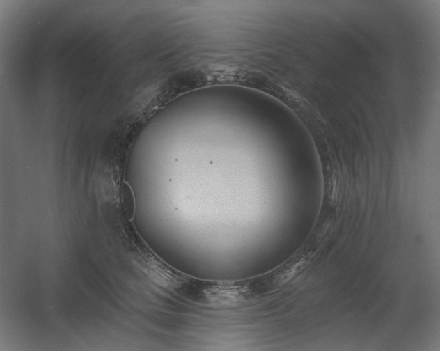 X0000060560661200511031244