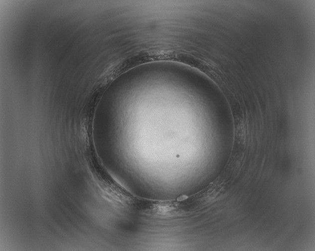 X0000060560662200511031244