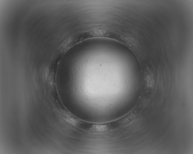 X0000060560665200511031244