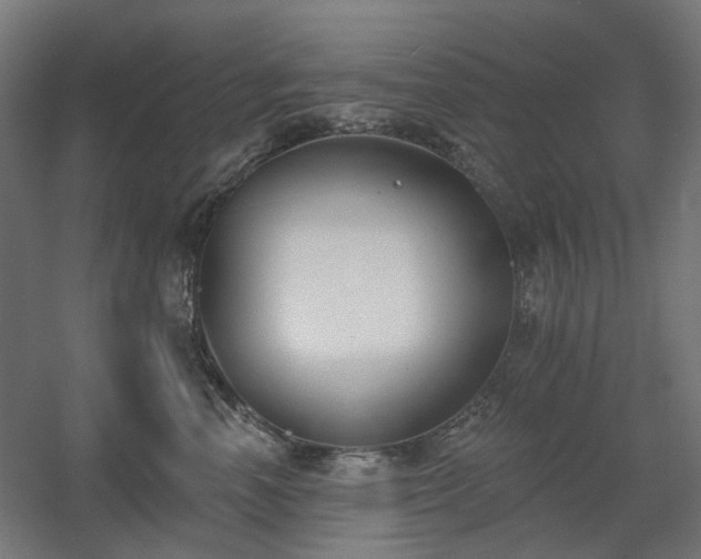 X0000060560666200511031244