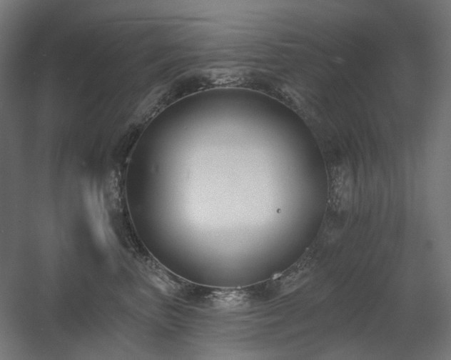 X0000060560667200511031244