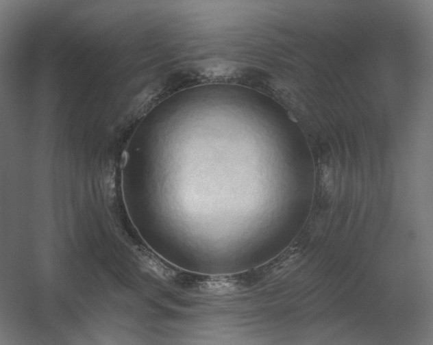 X0000060560668200511031244