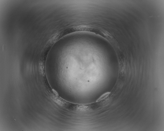 X0000060560669200511031244