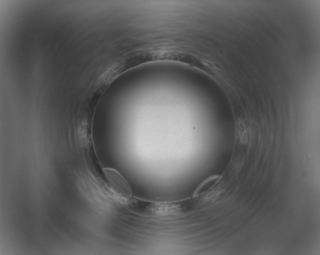 X0000060560670200511031244