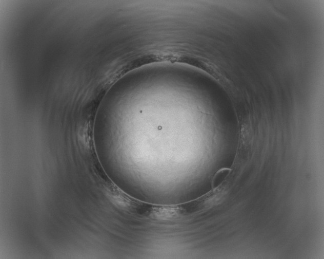 X0000060560671200511031244