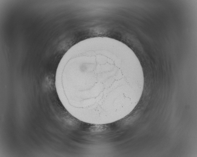 X0000060560672200511031244