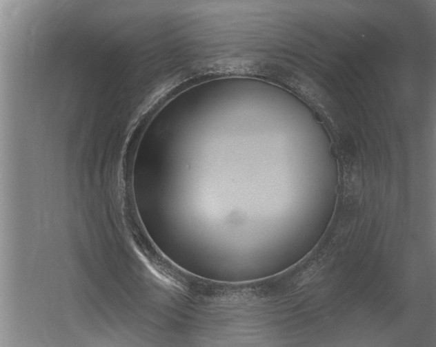 X0000060560674200511031244