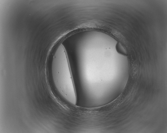 X0000060560680200511031243