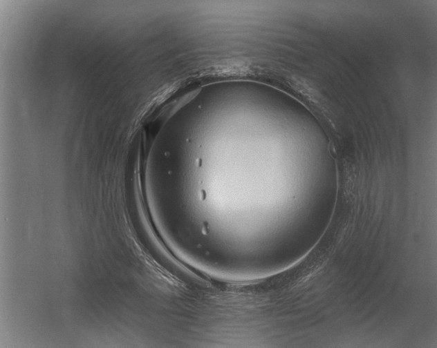 X0000060560681200511031243