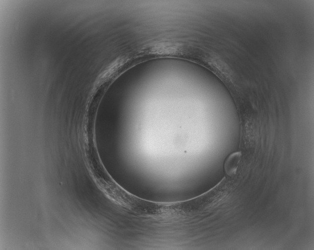 X0000060560682200511031243