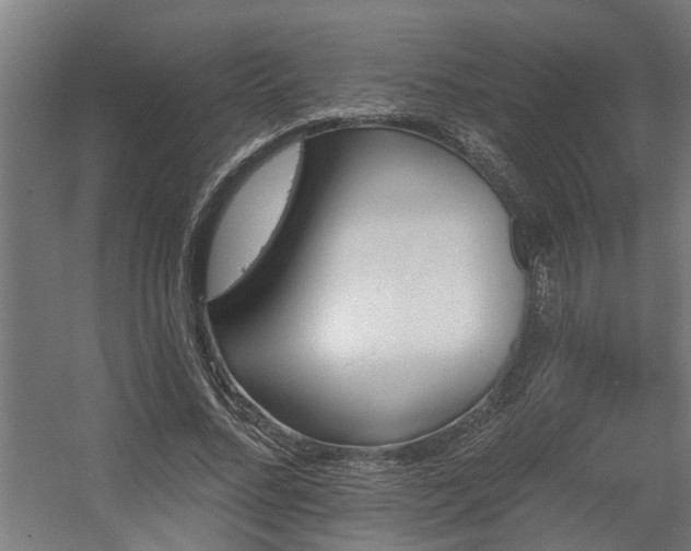 X0000060560684200511031243