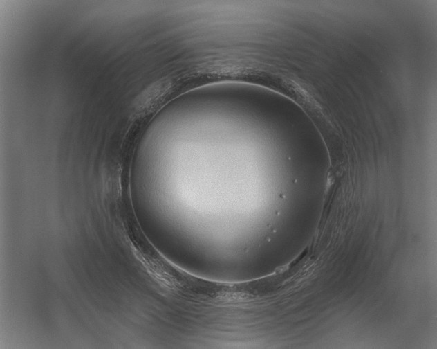 X0000060560685200511031243