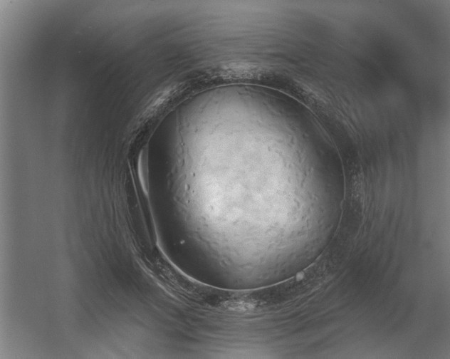 X0000060560687200511031243