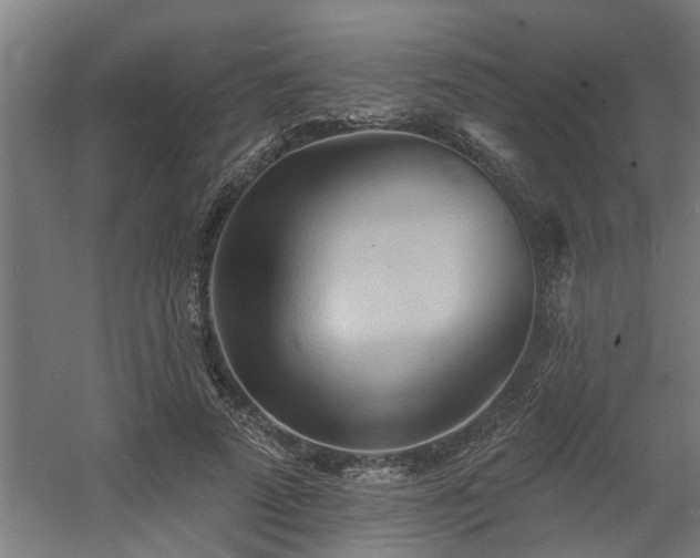 X0000060560689200511031243