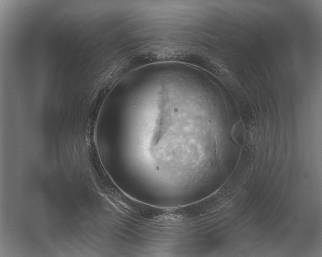 X0000060560691200511031243