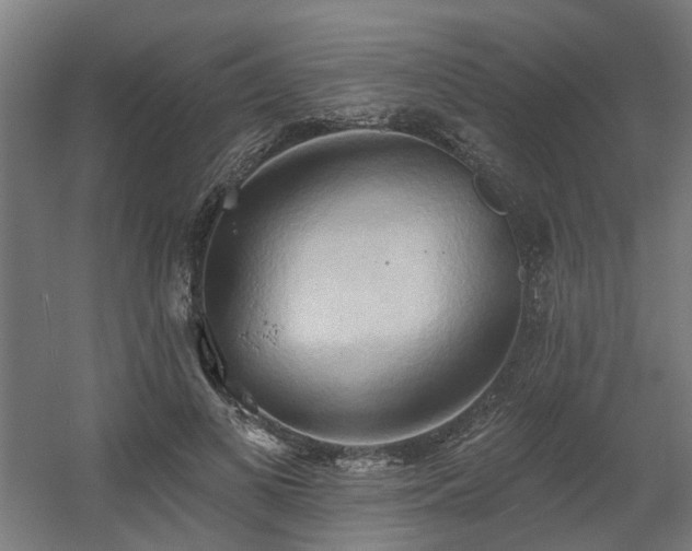 X0000060560693200511031243