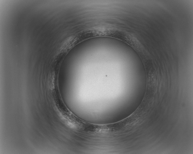 X0000060560694200511031243