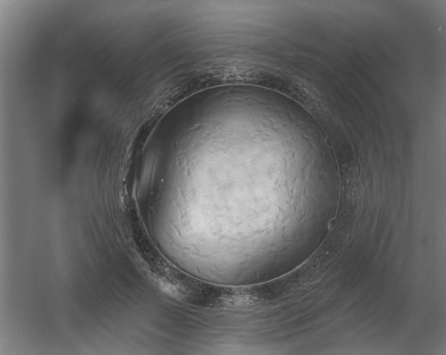 X0000060560695200511031243