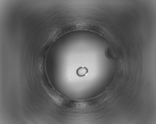 X0000060560698200511031243