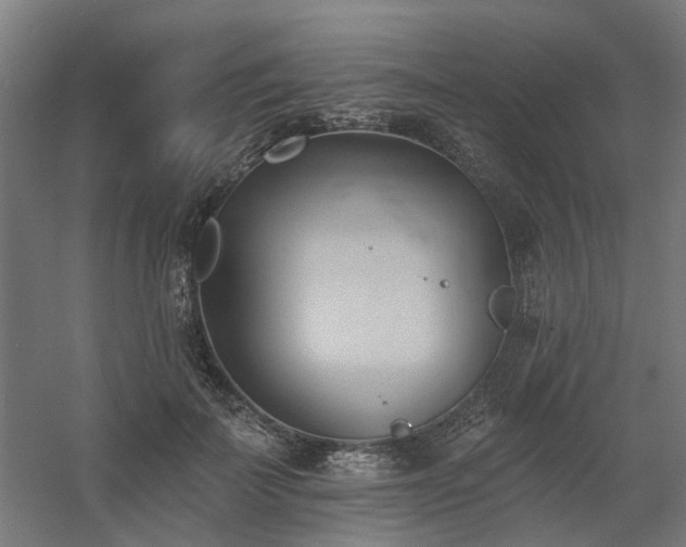 X0000060560699200511031243