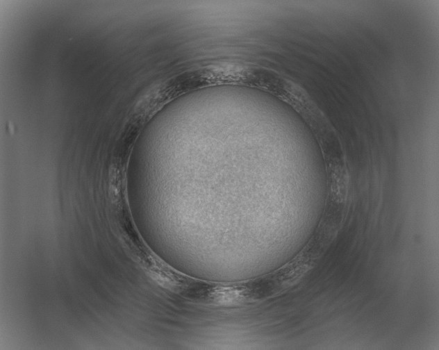 X0000060560701200511031243