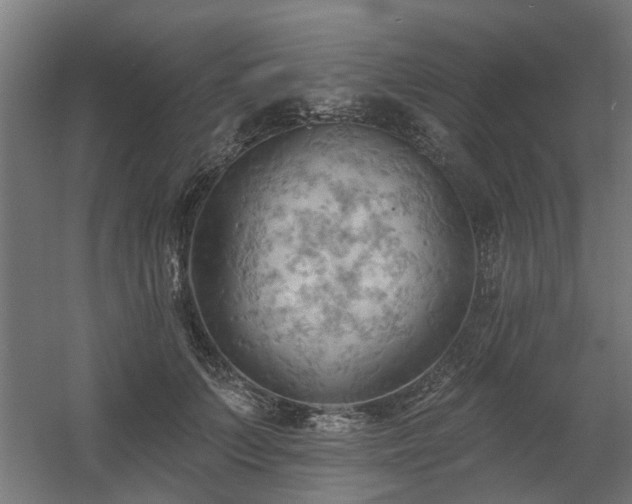 X0000060560703200511031243