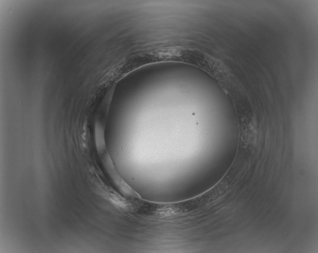 X0000060560704200511031243