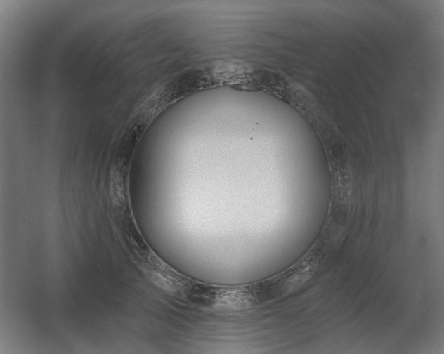 X0000060560705200511031243