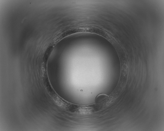 X0000060560707200511031243