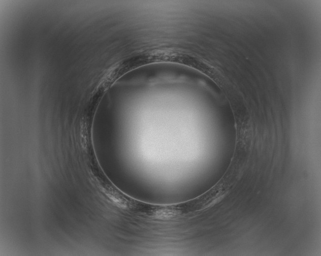 X0000060560708200511031243