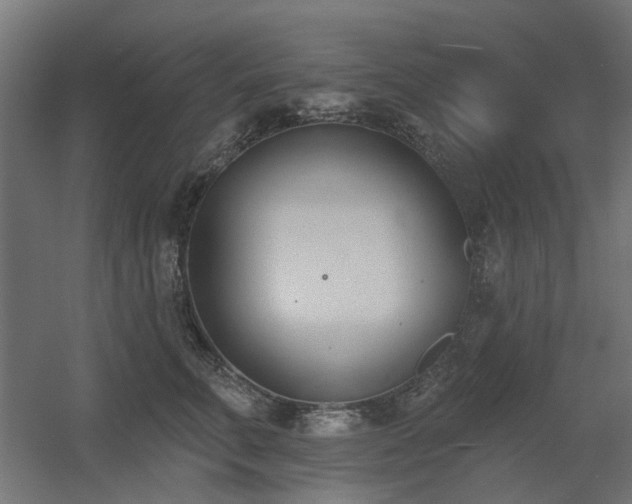 X0000060560711200511031243