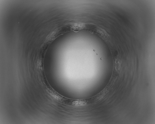 X0000060560714200511031243