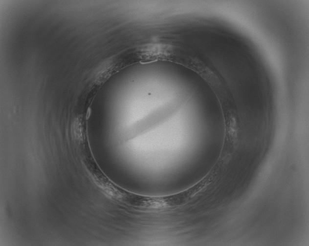 X0000060560715200511031243