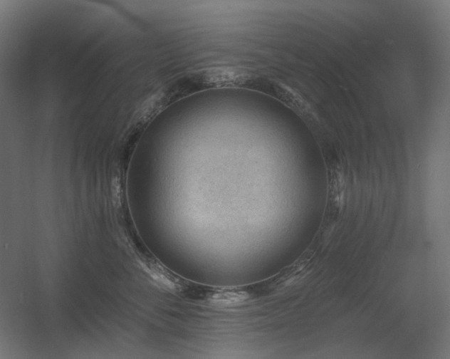 X0000060560716200511031243