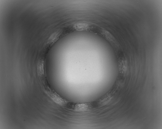 X0000060560717200511031243