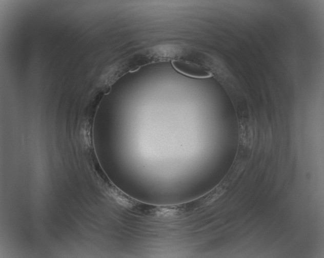 X0000060560718200511031243