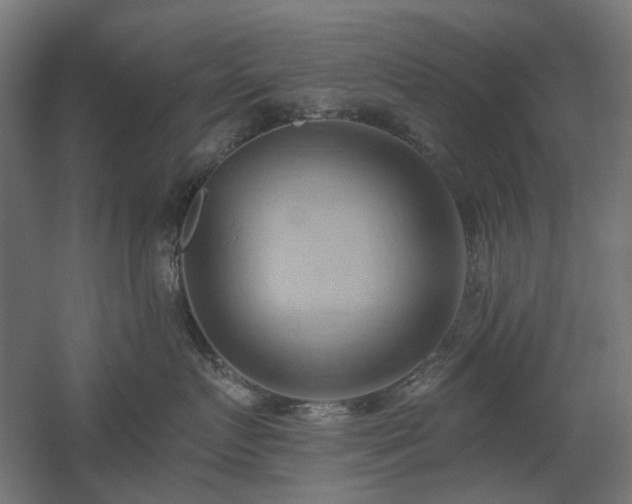 X0000060560719200511031243