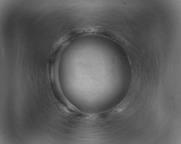 X0000060560720200511031243